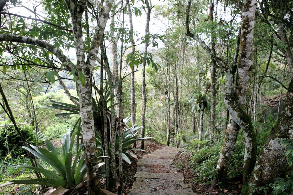 Aroso Paco Hotel Pedra Azul  Zewnętrze zdjęcie A trail in the park